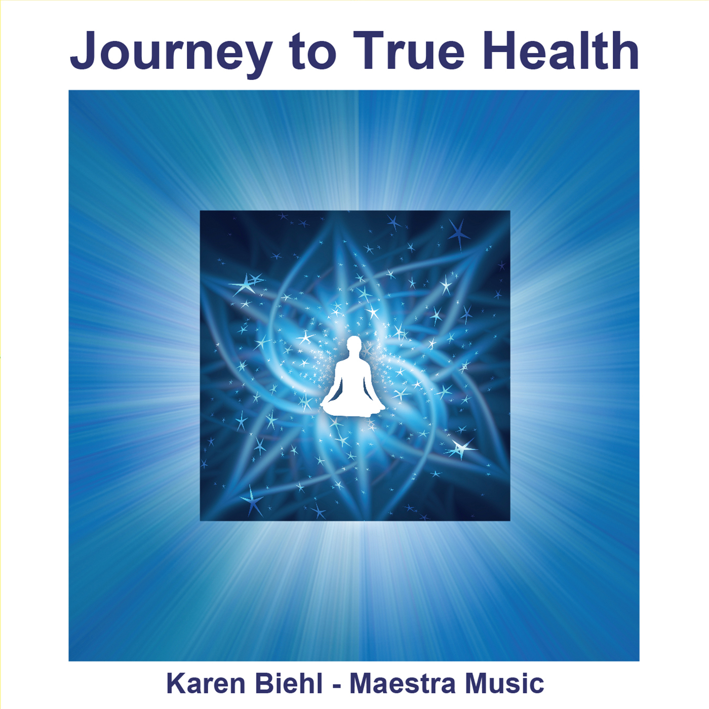 Journey to True Health (cd)