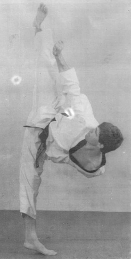 1024x1024-1934900.jpg