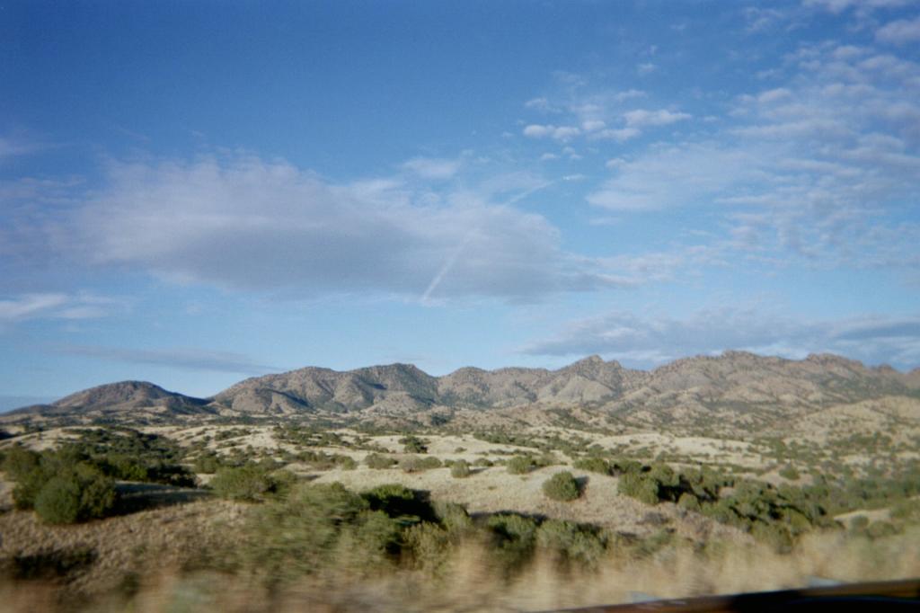 1024x1024-1787091.jpg