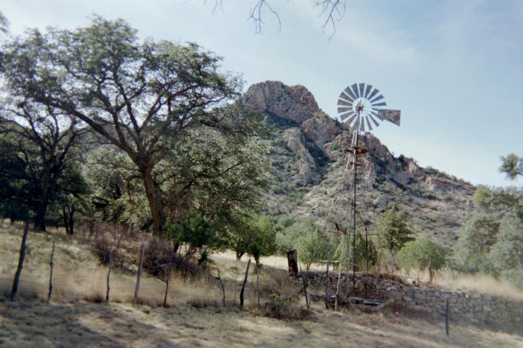 1024x1024-1787095.jpg