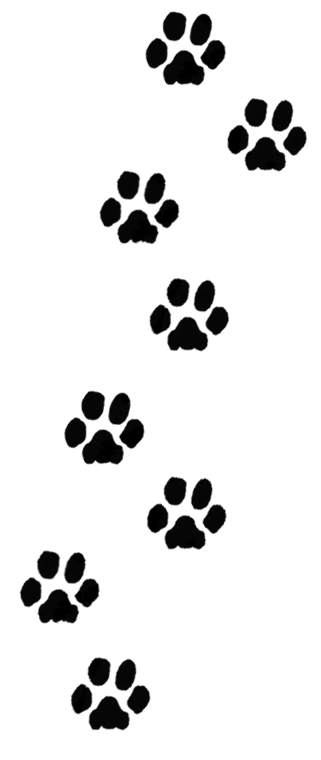 paws2