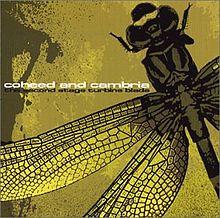 COHEED AND CAMORIA