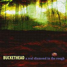 BUCKETHEAD