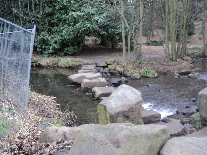 Peak District Stepping Stones