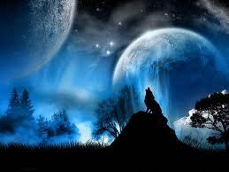 Lobo y luna