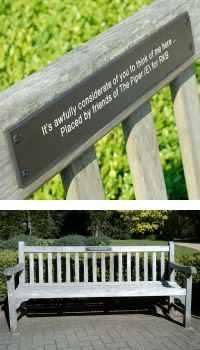 The Bench