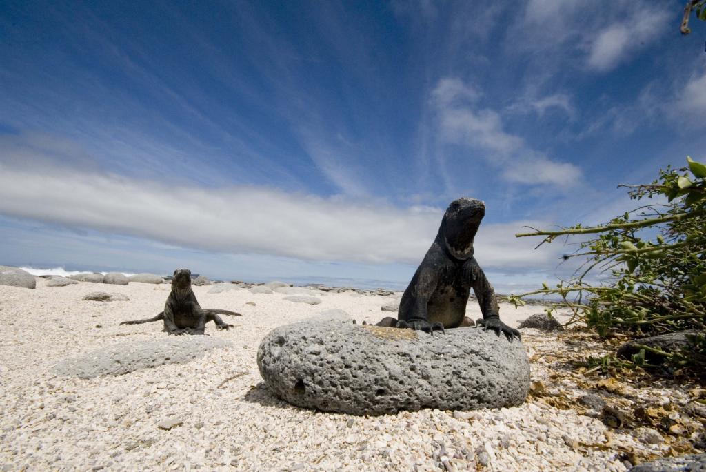 best galapagos cruise for families