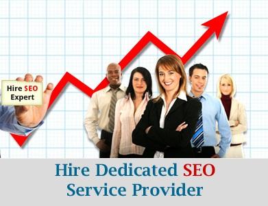 hire dedicated florida seo service provider