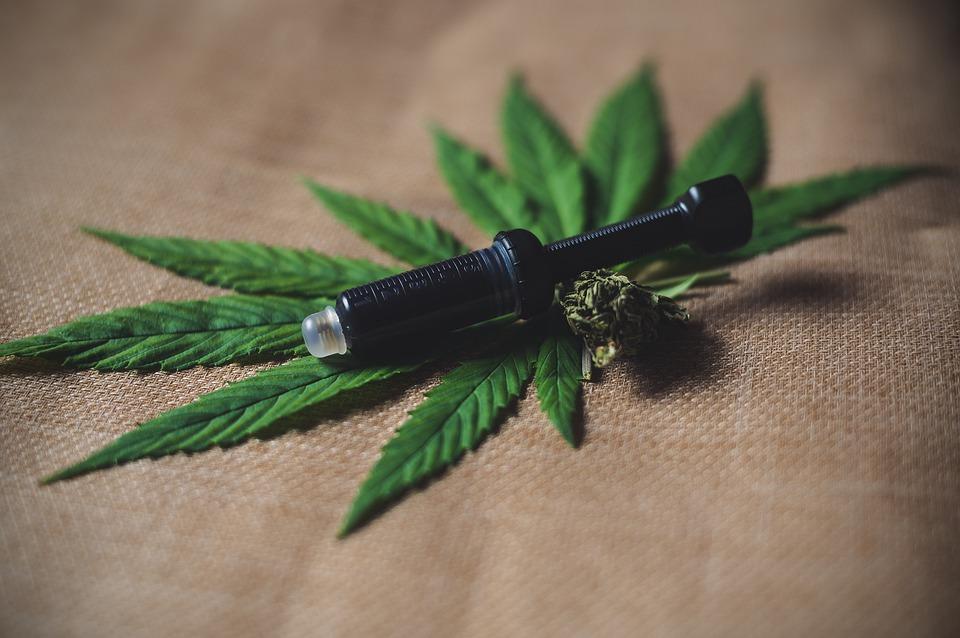 cbd oil