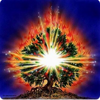 https://media.angelfire.lycos.com/7070665/2444902.png