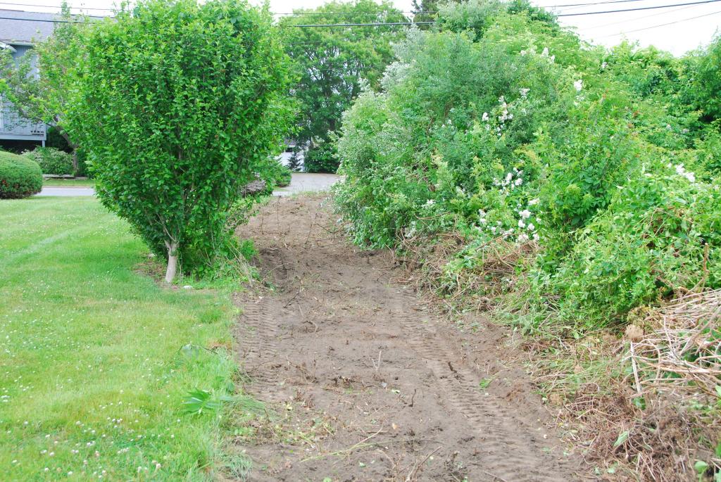 land clear of overgrown brush