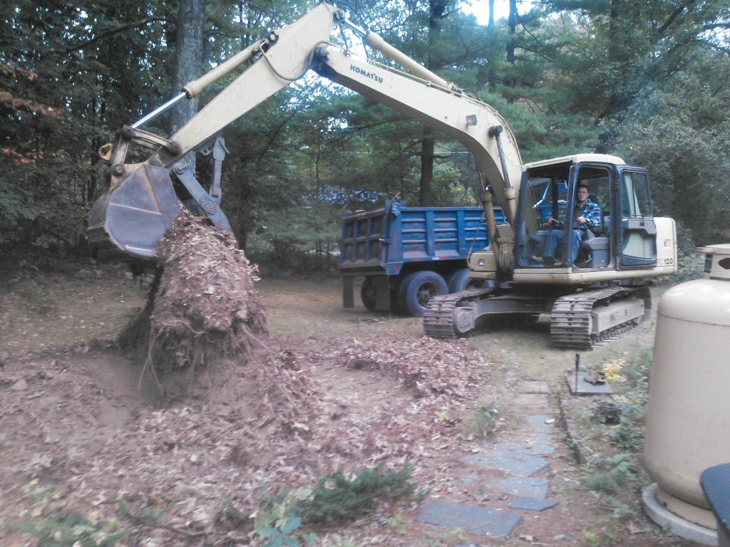 stump removal