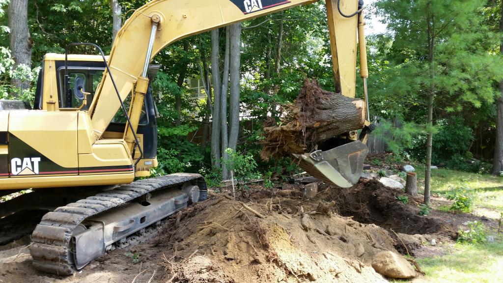 Phil's Excavating stump removal